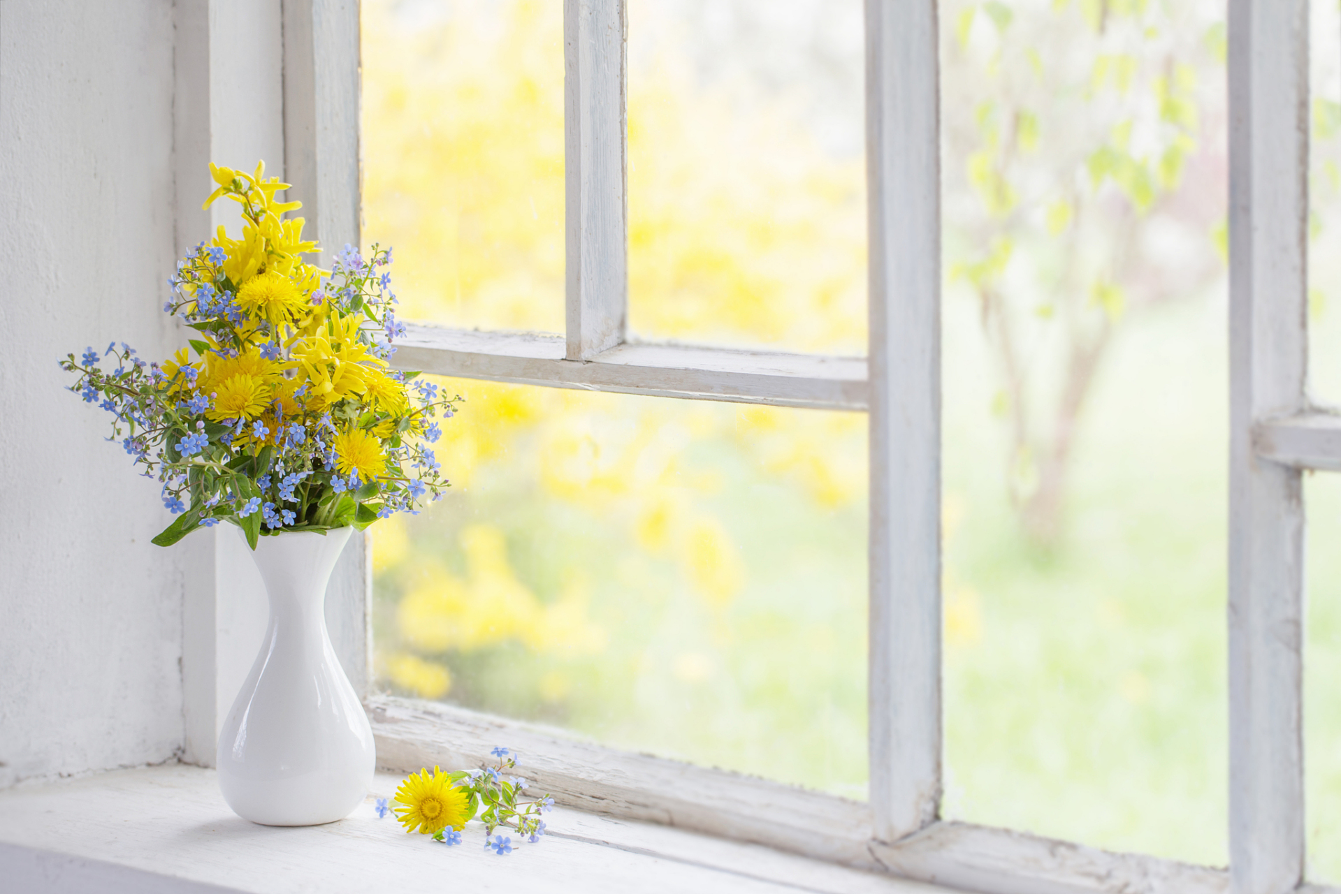 阳光洒满窗台,微风拂过脸庞.心情就像这清晨的空气,清新又充满活力.