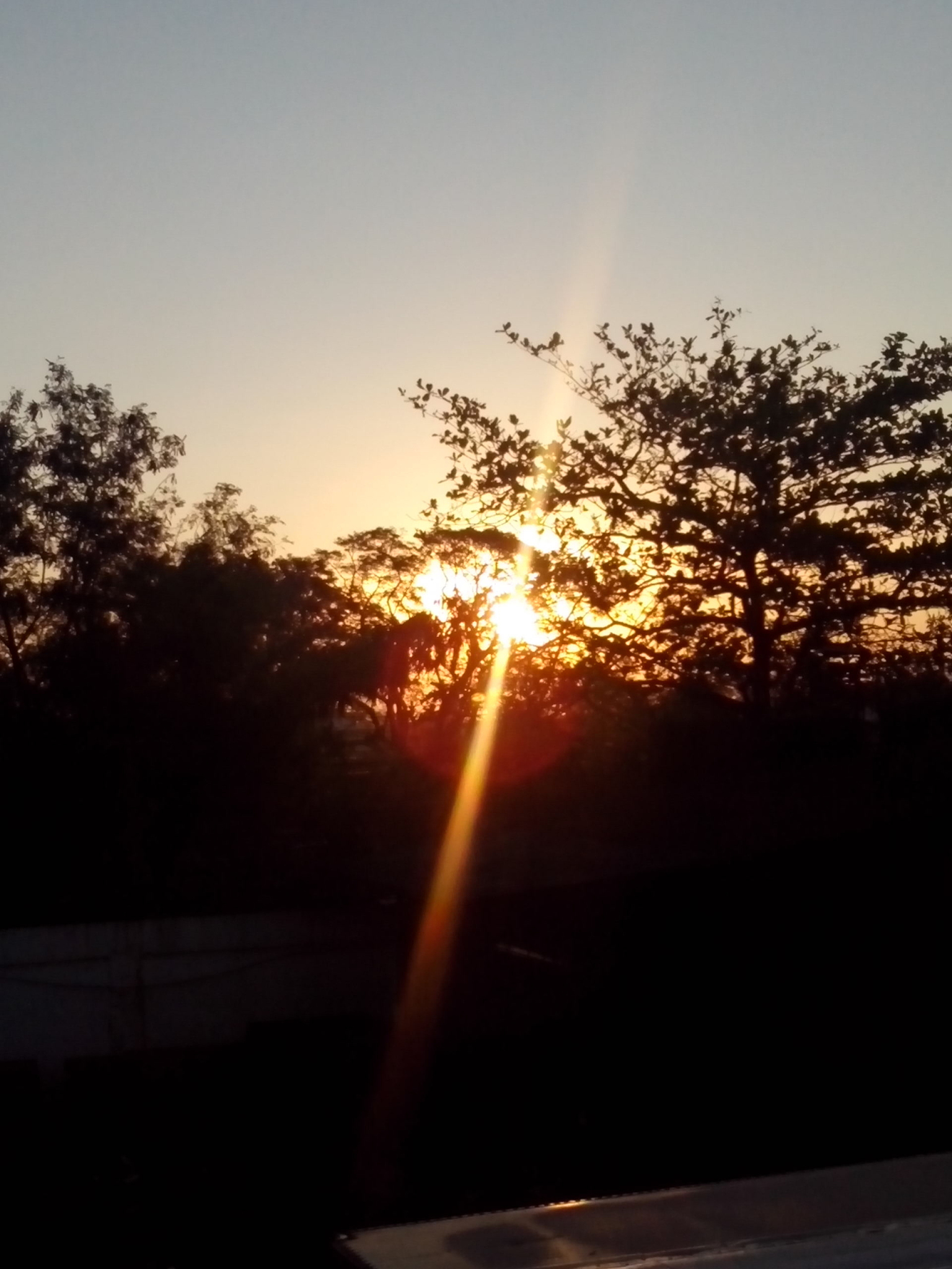 可被阳光照着的时候,又是那么的真实