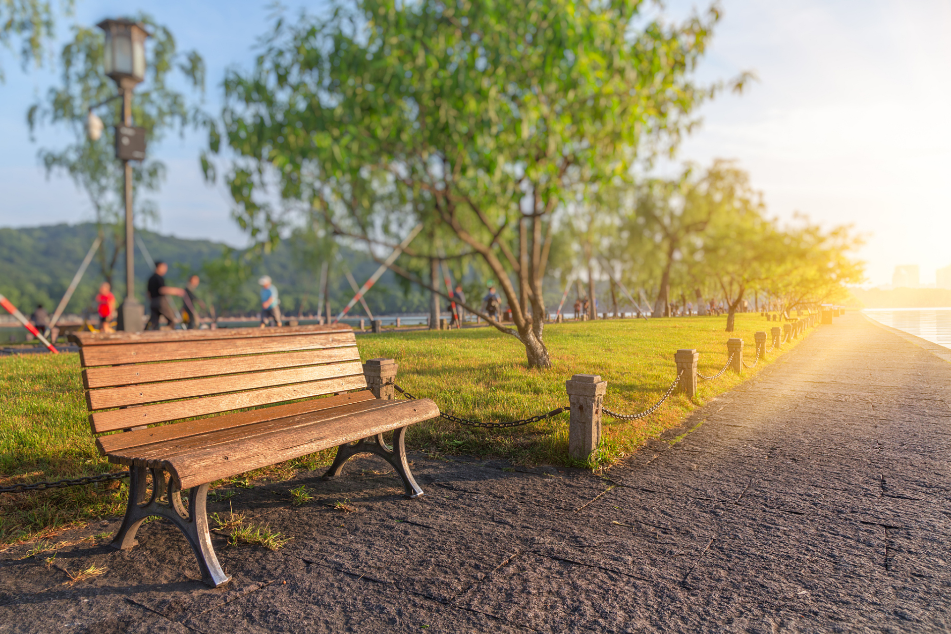 今日阳光洒满大地,我坐在公园的长椅上,目睹孩童们尽情嬉戏,老人们