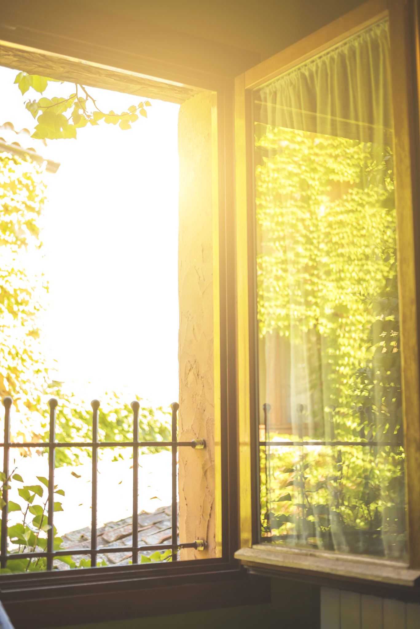 清晨的阳光洒在窗前,温暖的金色照亮了安静的房间