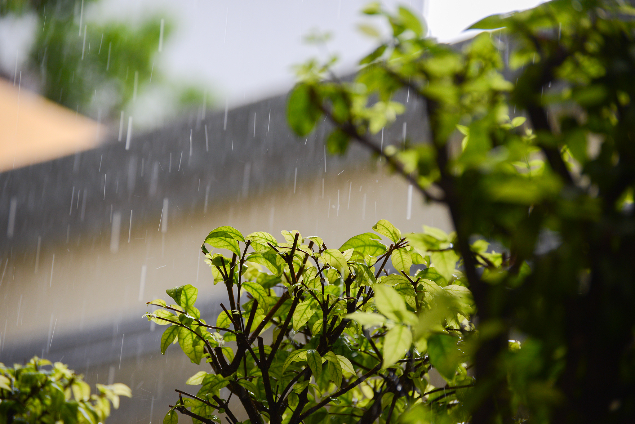 躺在床上,听着雨声,一天的疲惫渐