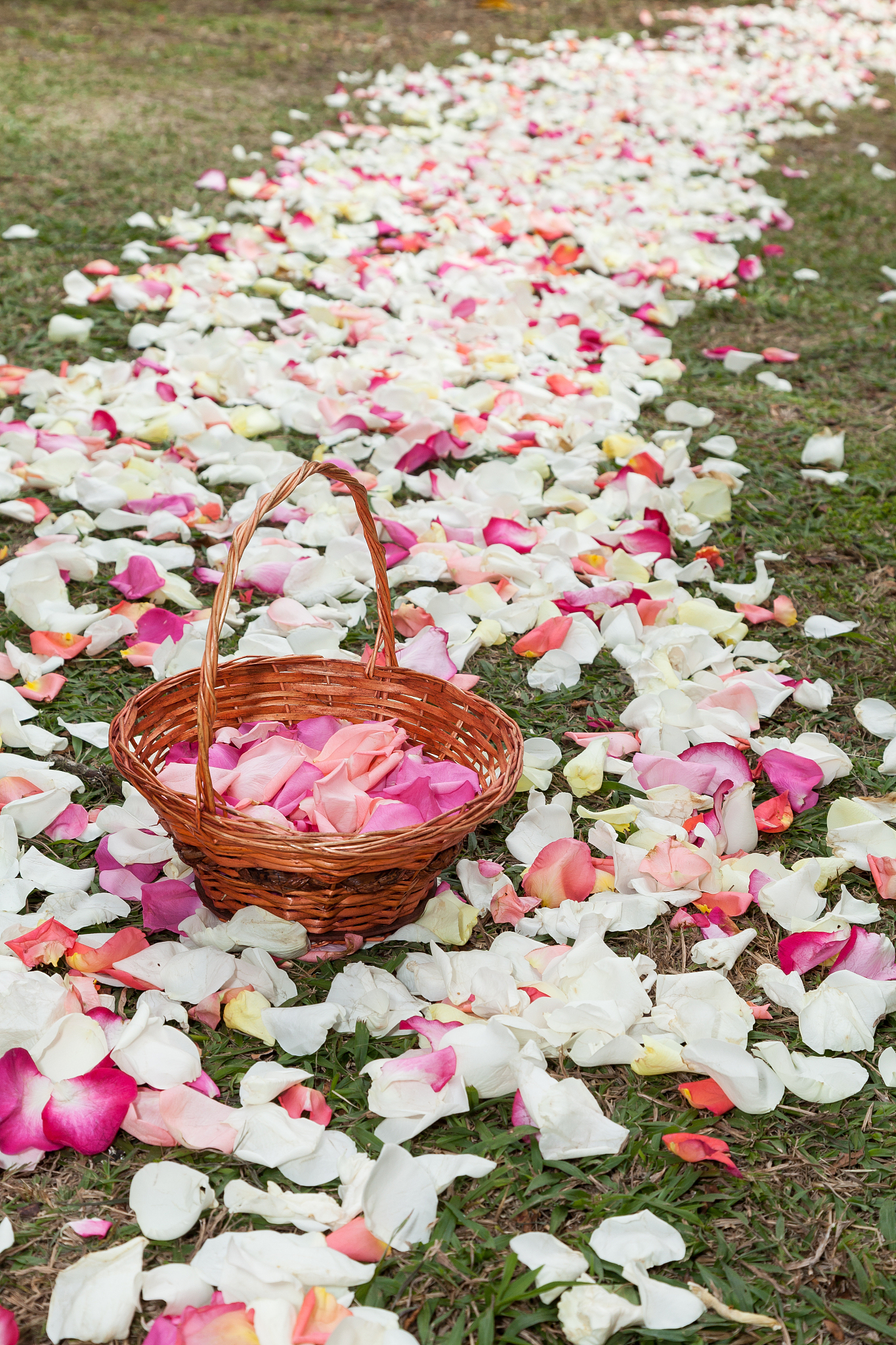 《梦见炸裂的花瓶》