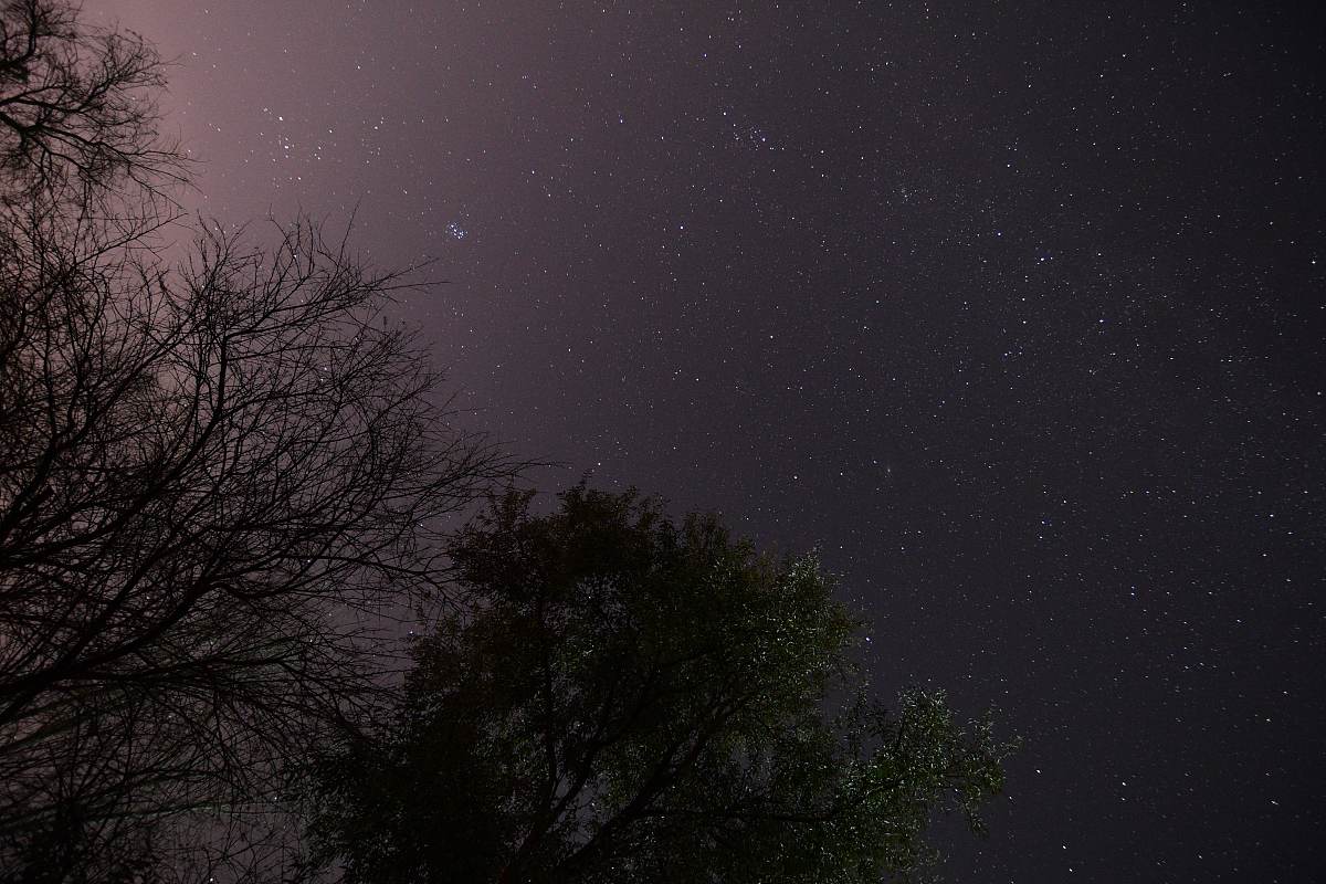 夜晚的农村,繁星满天,寂静中只有虫鸣和风声