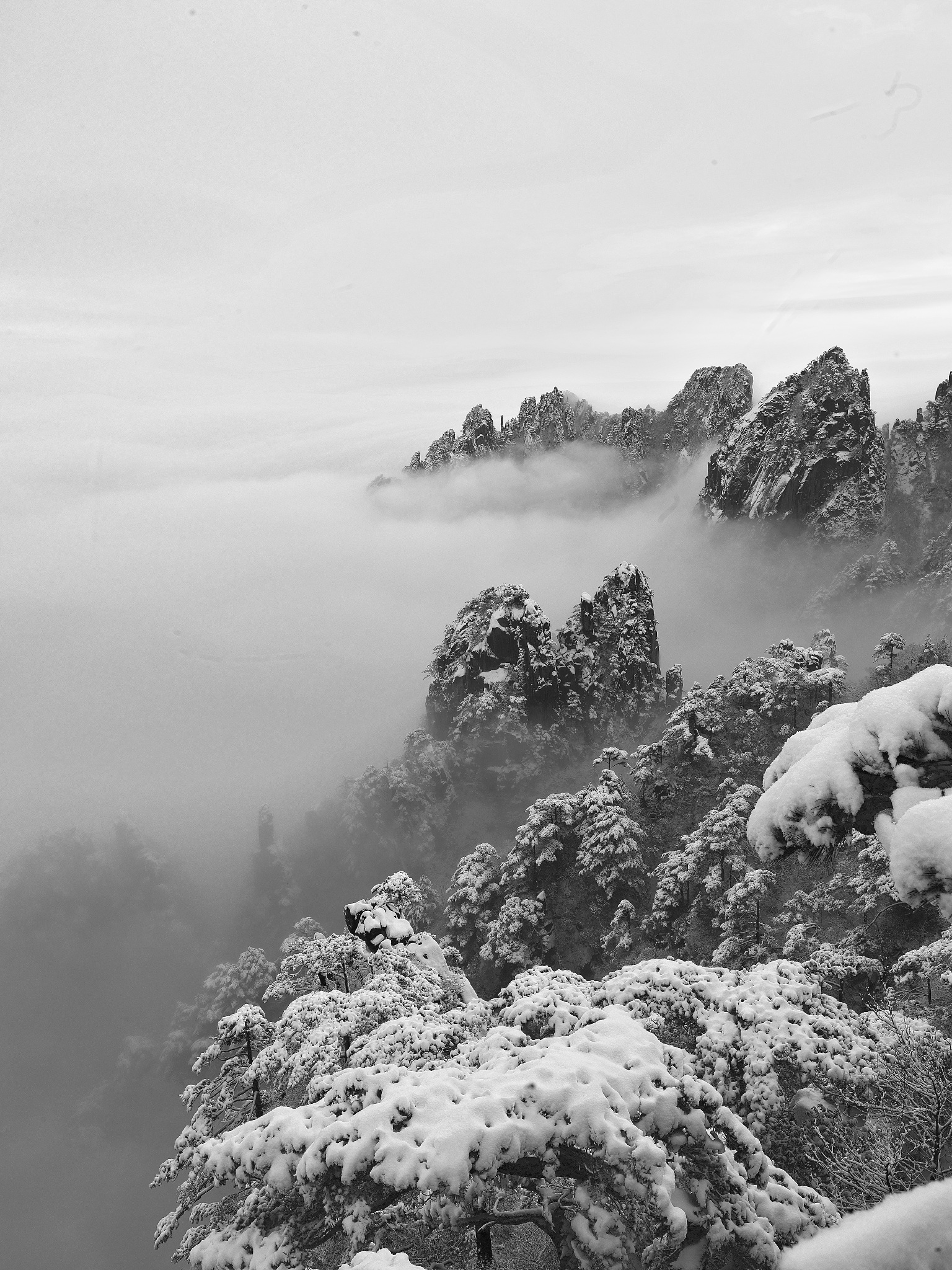 雪花飘落,万物寂静,仿佛置身于一幅水墨画中.