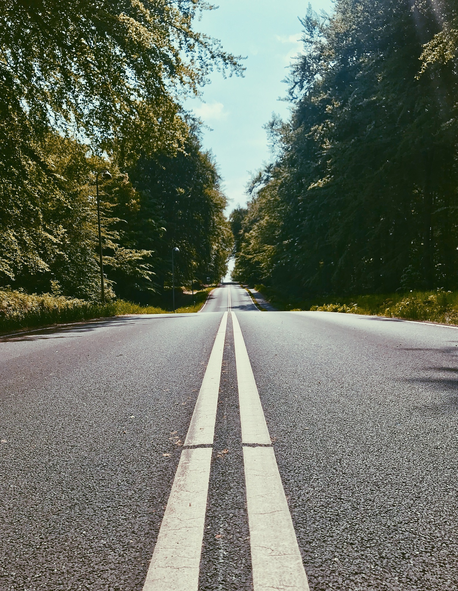 我们总是试图找到那条完美的道路,但现实却告诉我们,无论我们如何选择