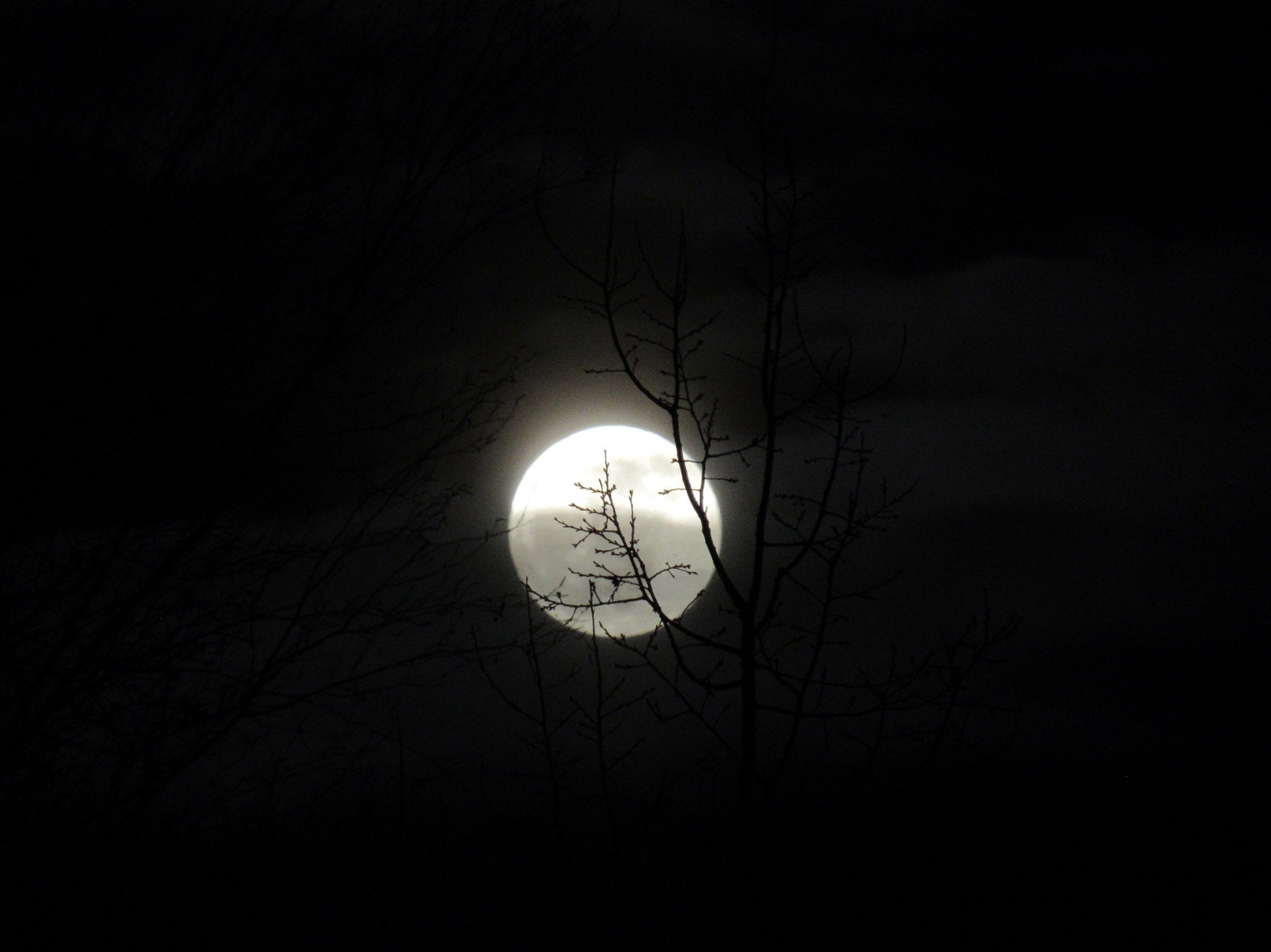 深夜忧思难入眠,孤灯独影伴长夜. 思绪万千无处诉,唯有泪水湿枕边