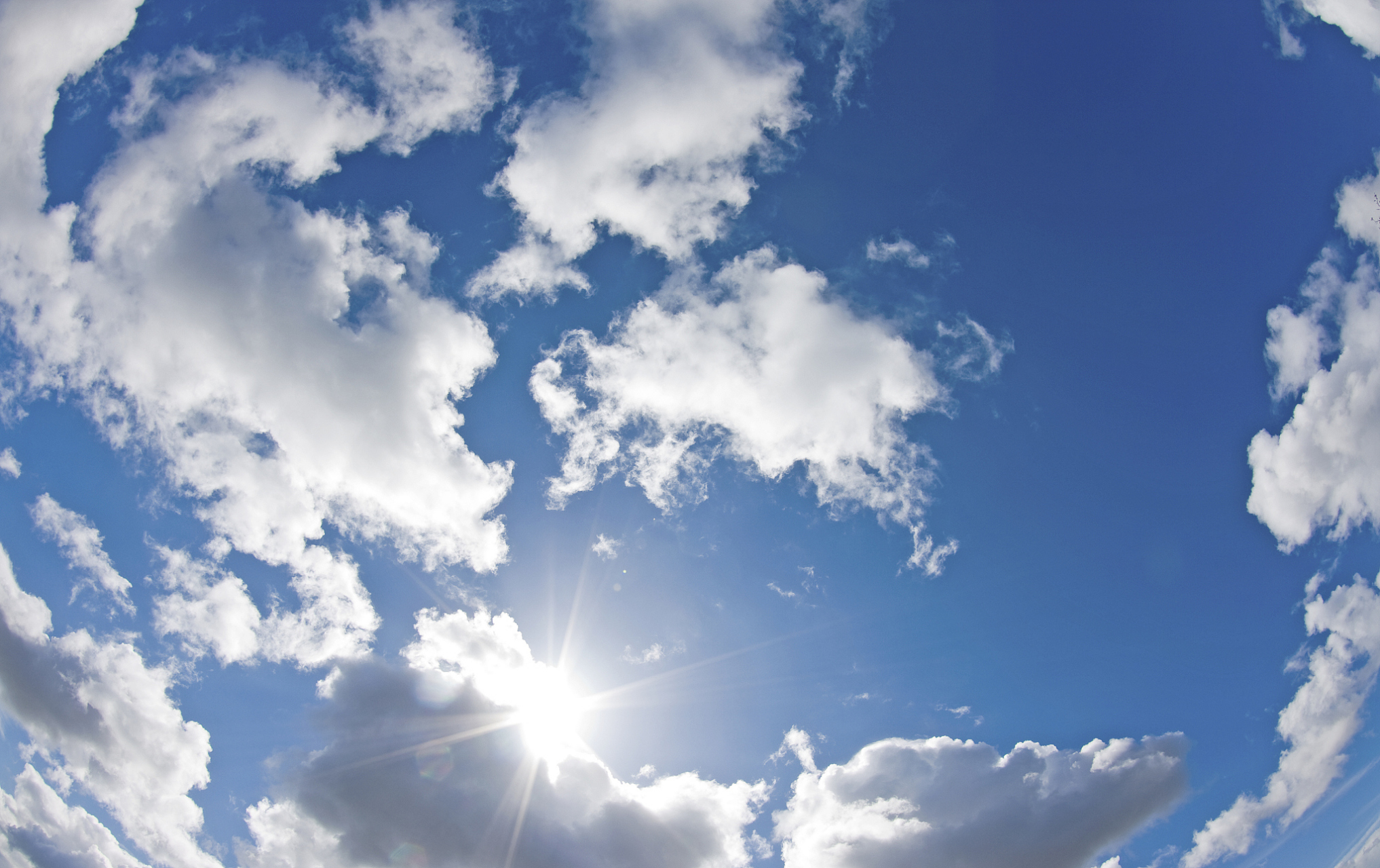 夏日炎炎,阳光正好,蓝天白云下的心情更是无比舒畅.