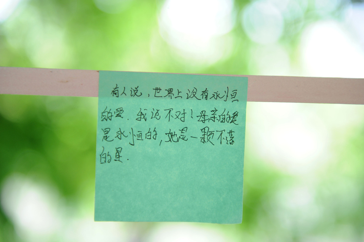 今天被这条评论戳中了我,她说看到别人幸福时会羡慕到哭.