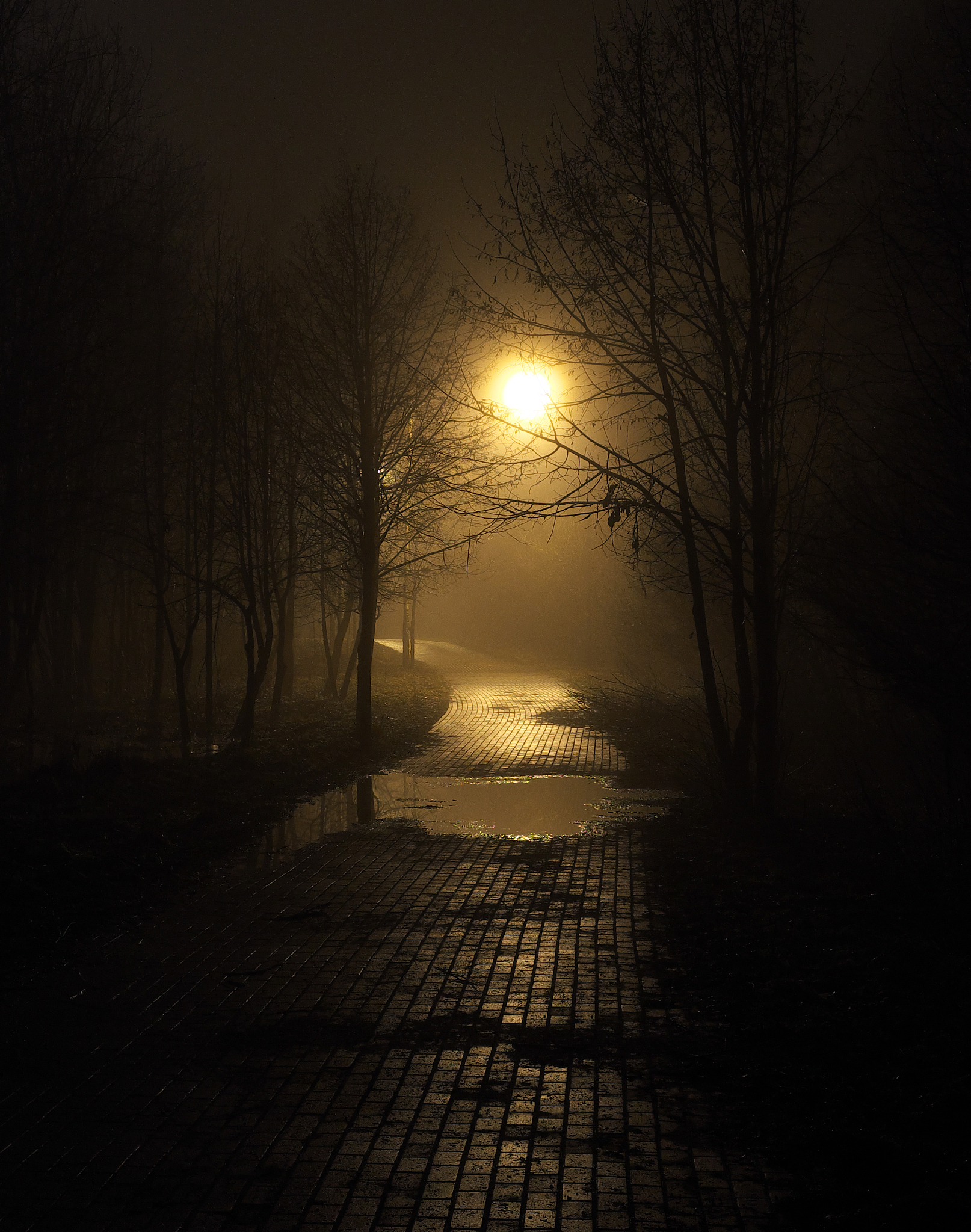 夜之魅力# #享受孤独