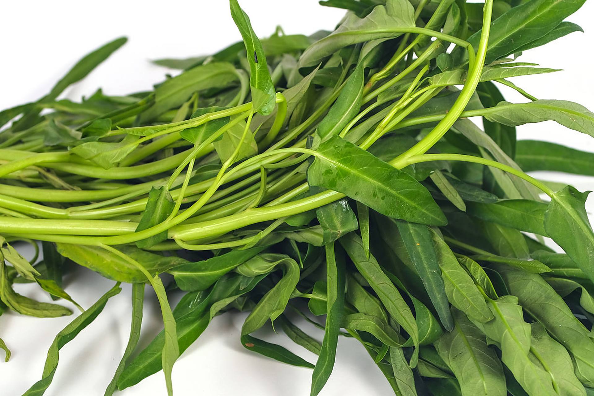 今天和大家分享一种懒人蔬菜——空心菜,也叫藤藤菜.