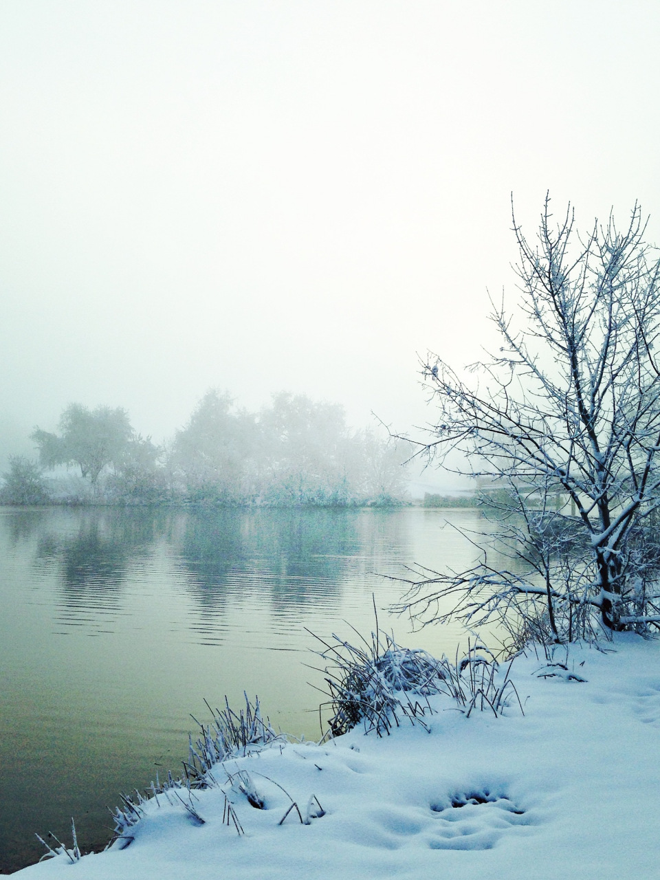 心情如雪静如水, 思绪飘飞入梦来. #用一张图形容冬季