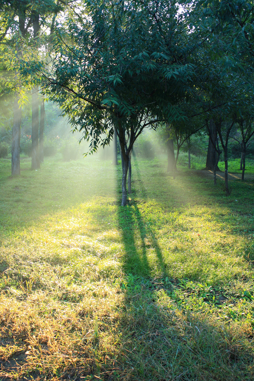 每一个清新的早晨,都是大自然对我们的温柔唤醒.