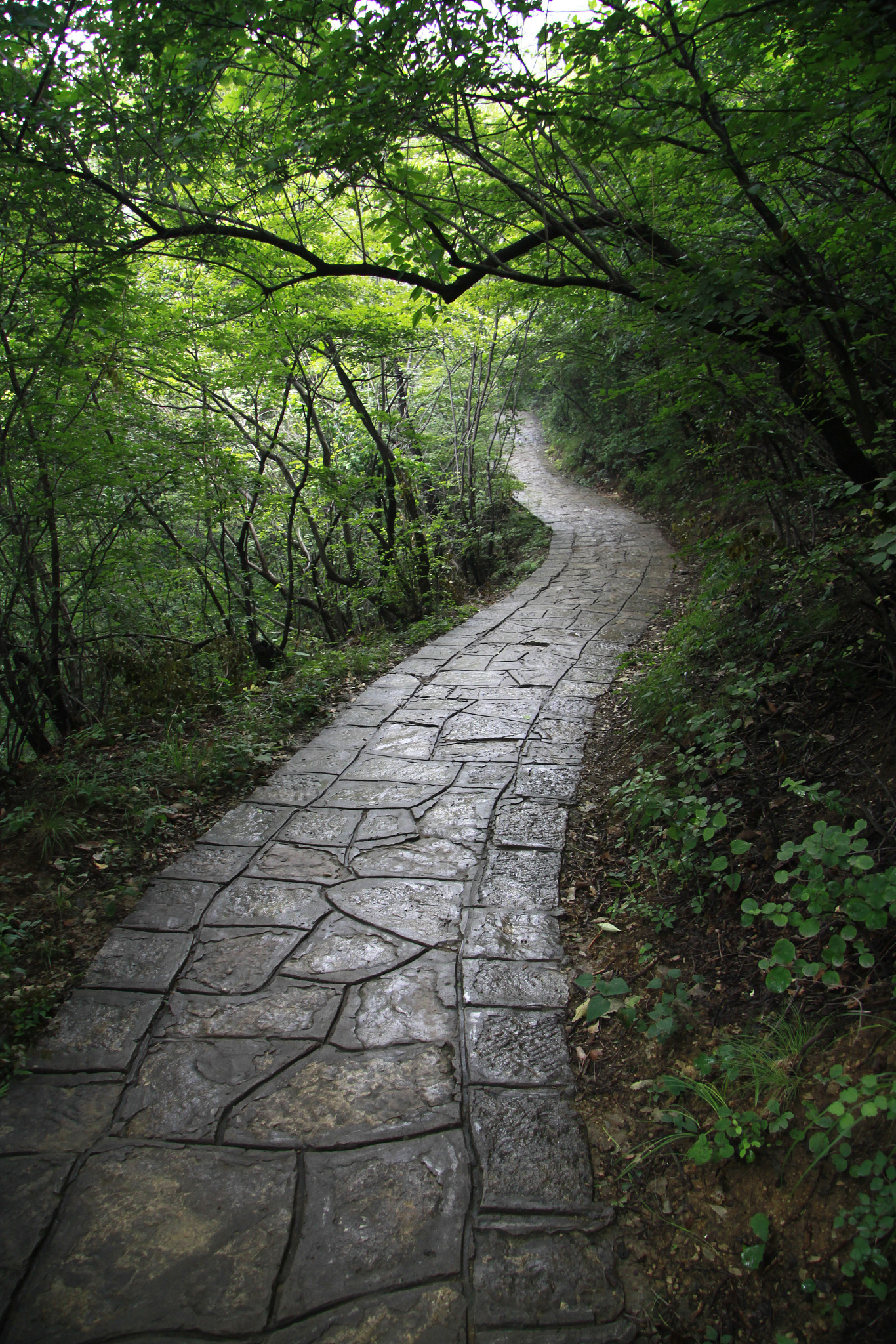 炒股体会:不要听信小道消息