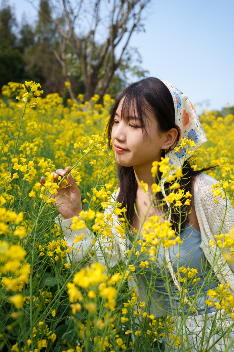 美女赏花现代诗词图片