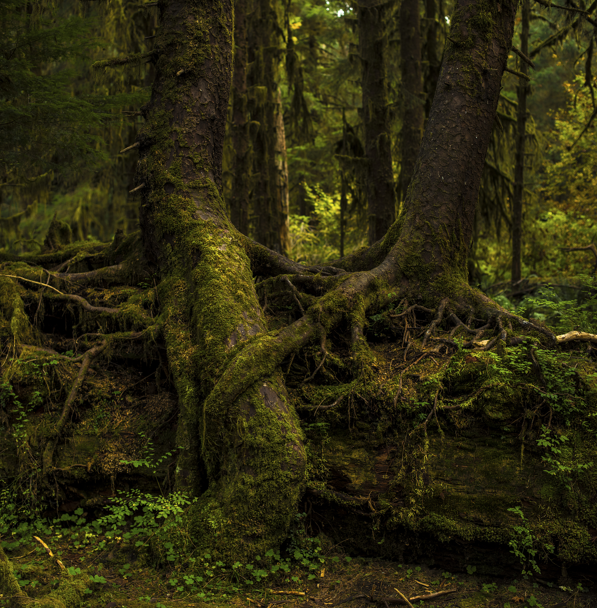 责任和机会其实是相伴相生的