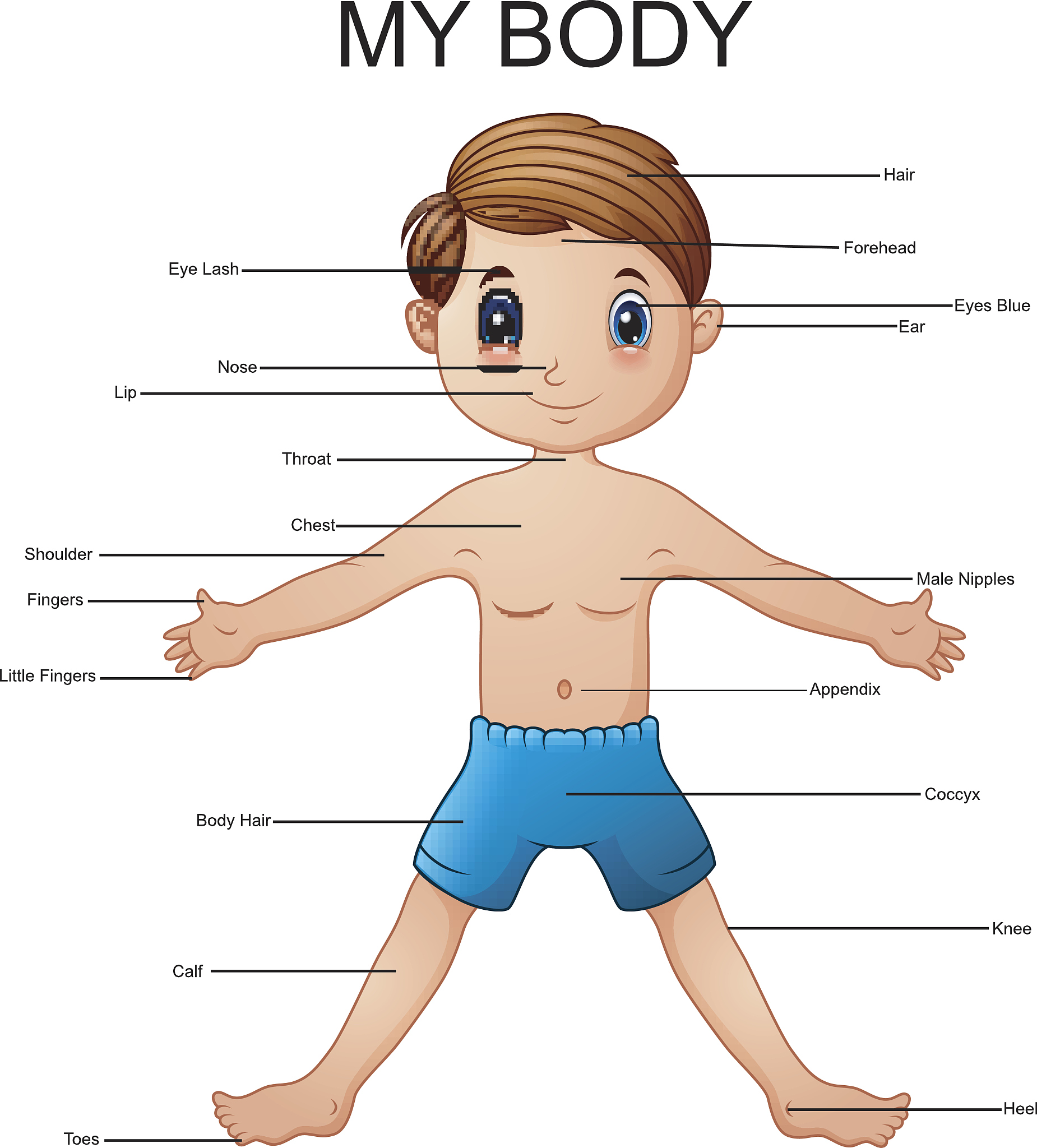 16个最佳的免费医生如下: