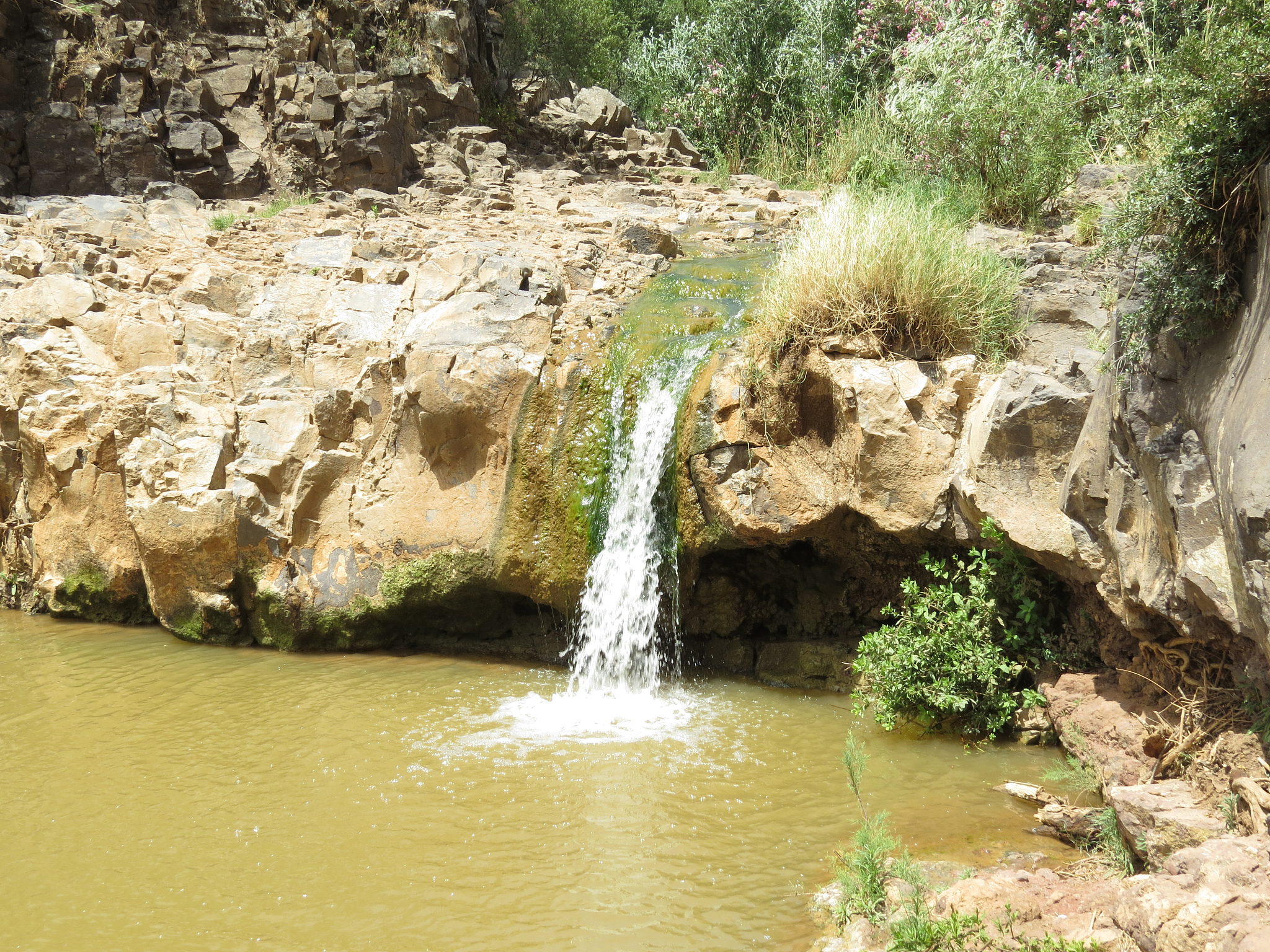 陇西渭河生态风情园双龙口景区是一个美丽而神奇的地方.