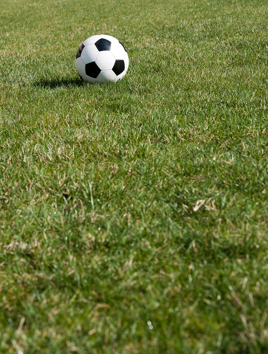 诗/回响 良驹伯乐绿茵豪, 二八新星小试刀