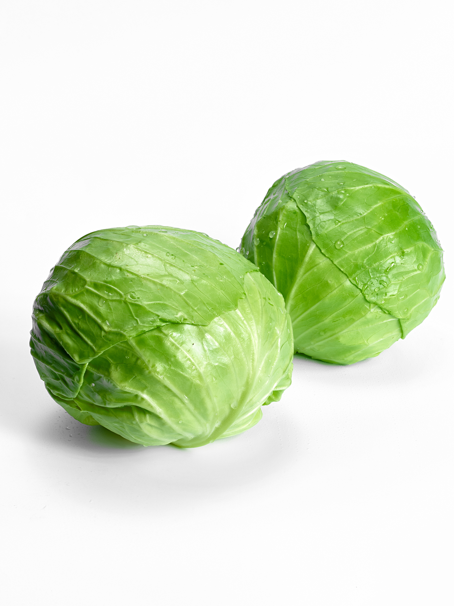 这就是我们平常吃的卷心菜,有的地方叫大头菜,甘蓝菜,农民在种植的