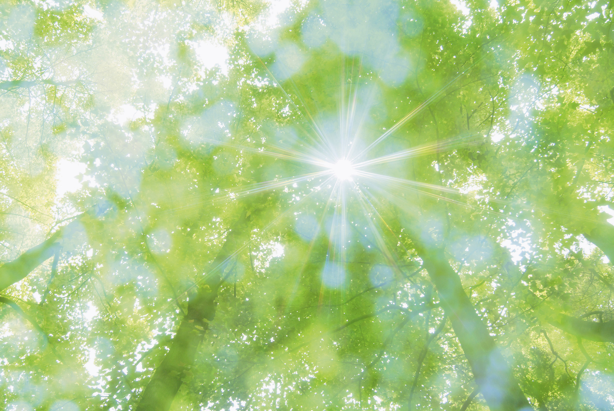 一句歌词描述夏天#阳光洒满大地,就像那句歌词:"夏日的风轻轻吹过带 