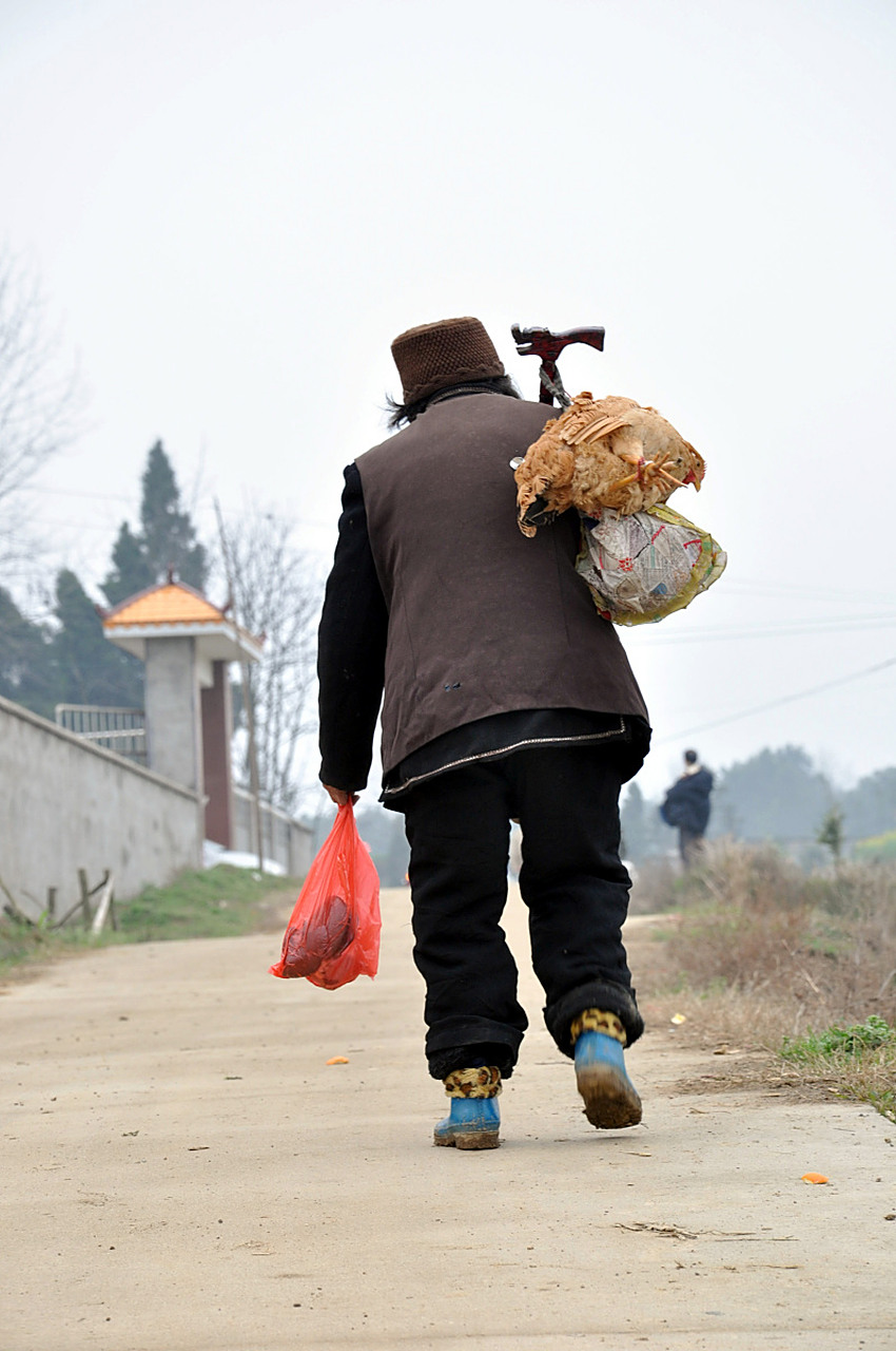 驼背伯伯与村庄的秘密