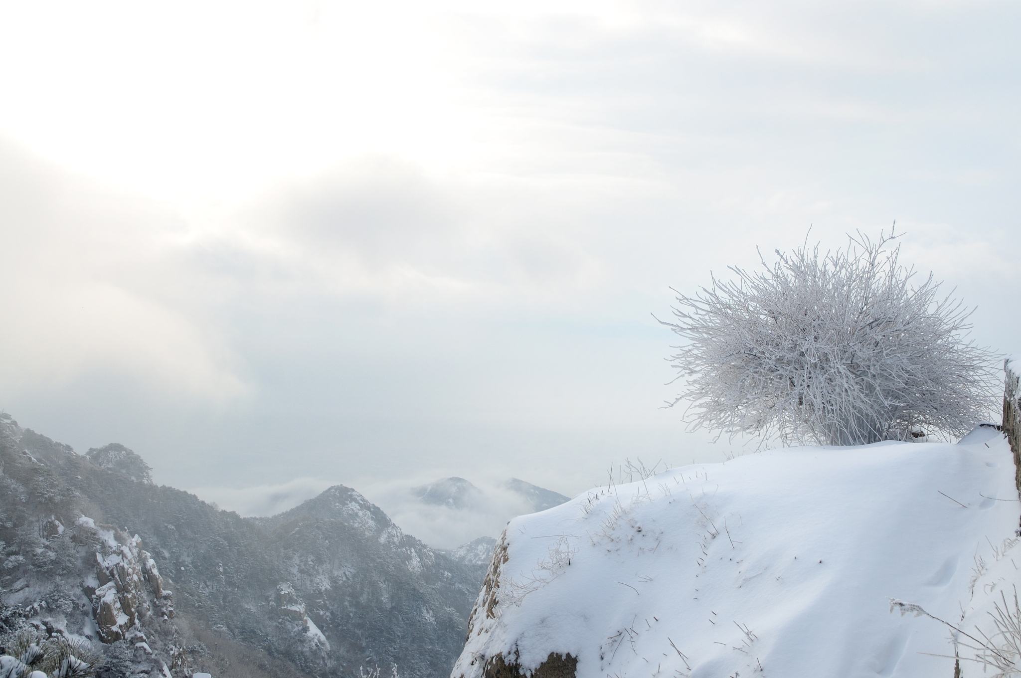 泰山雪景壁纸图片