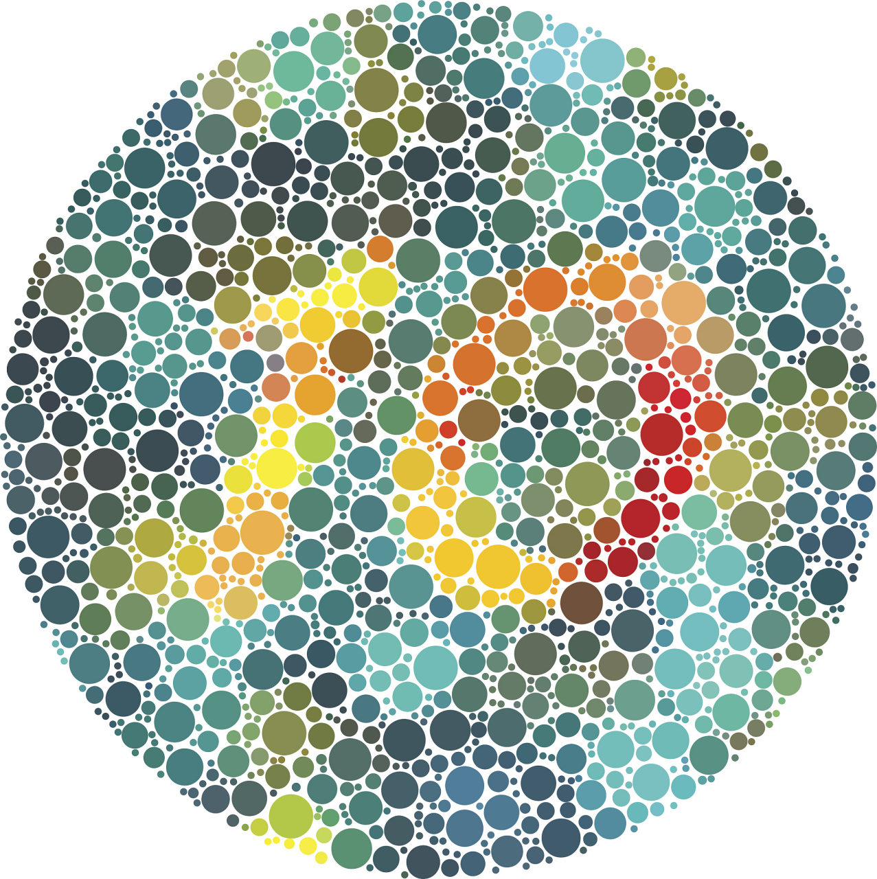 面对色弱无法通过驾照体检的困境,我们该何去何从呢?