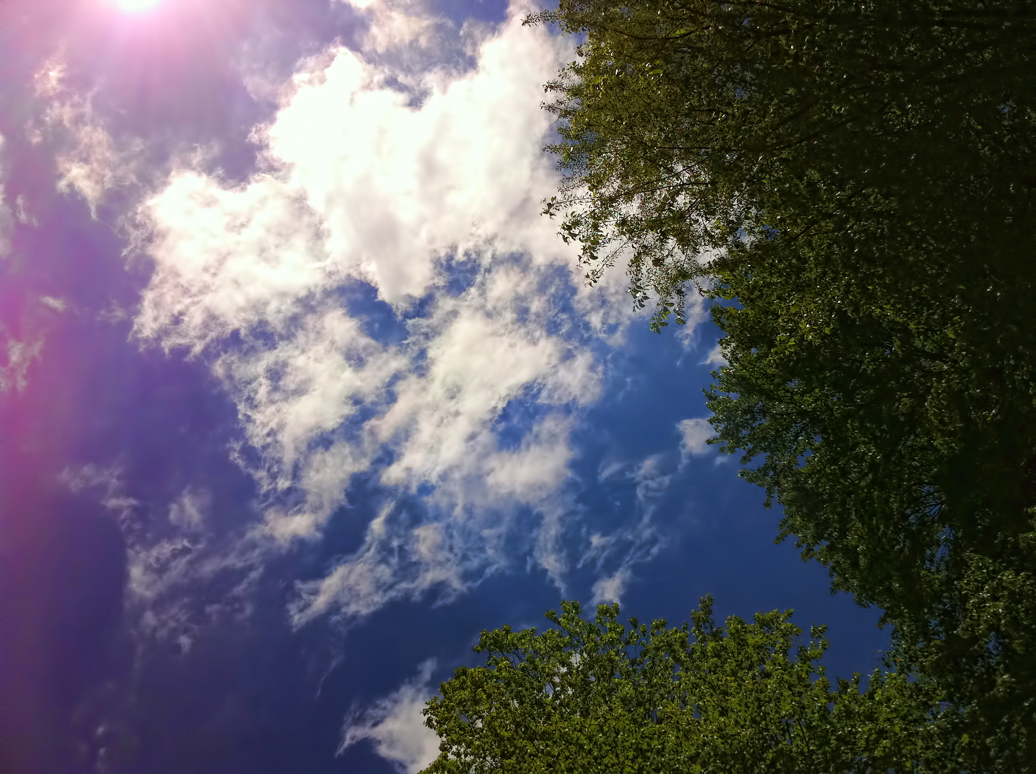 雨后天晴,心情更是明媚如初.雨打梨花深闭门,忧愁难挡情何限