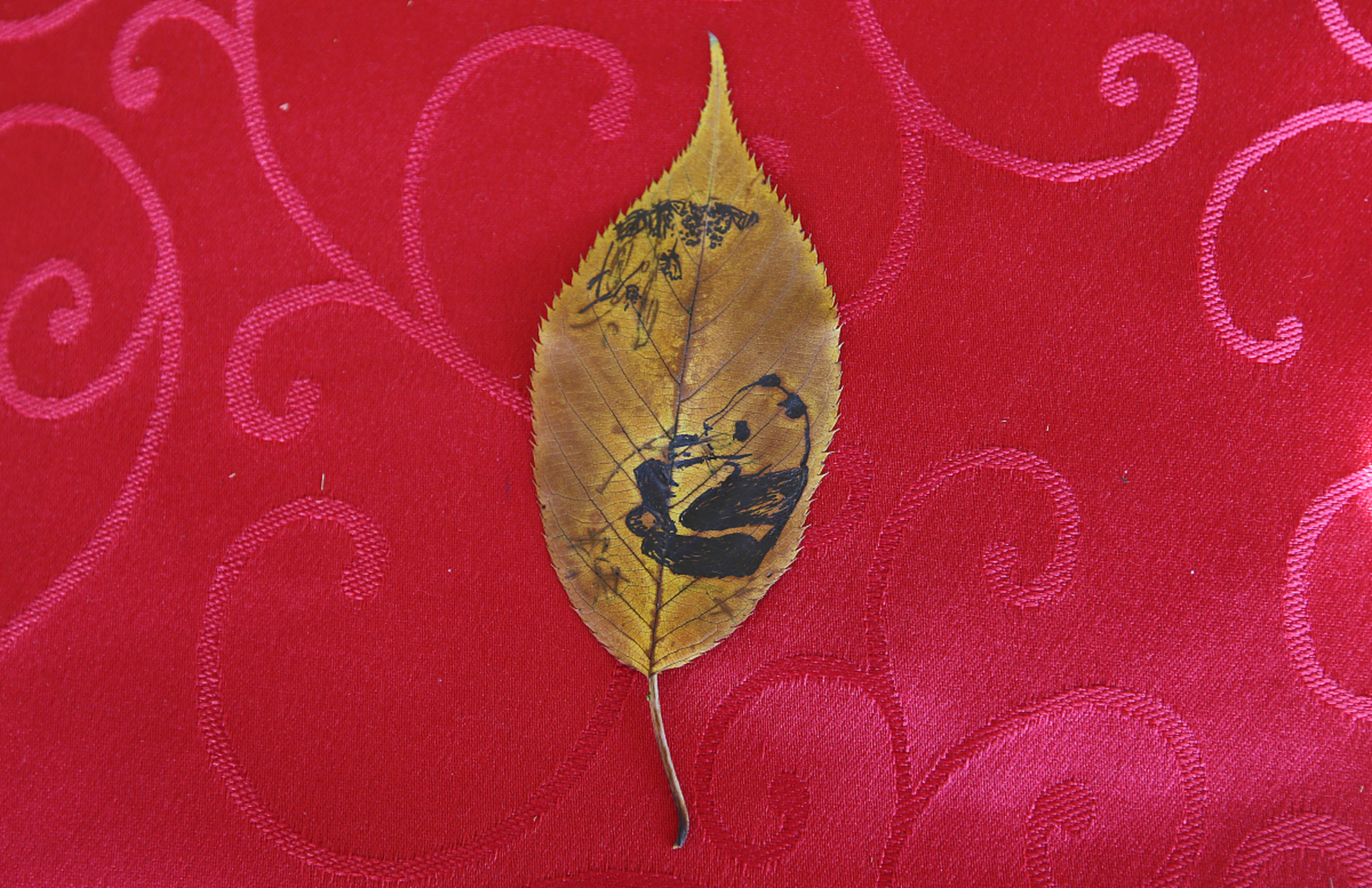 99 你们知道什么是叶脉画吗?