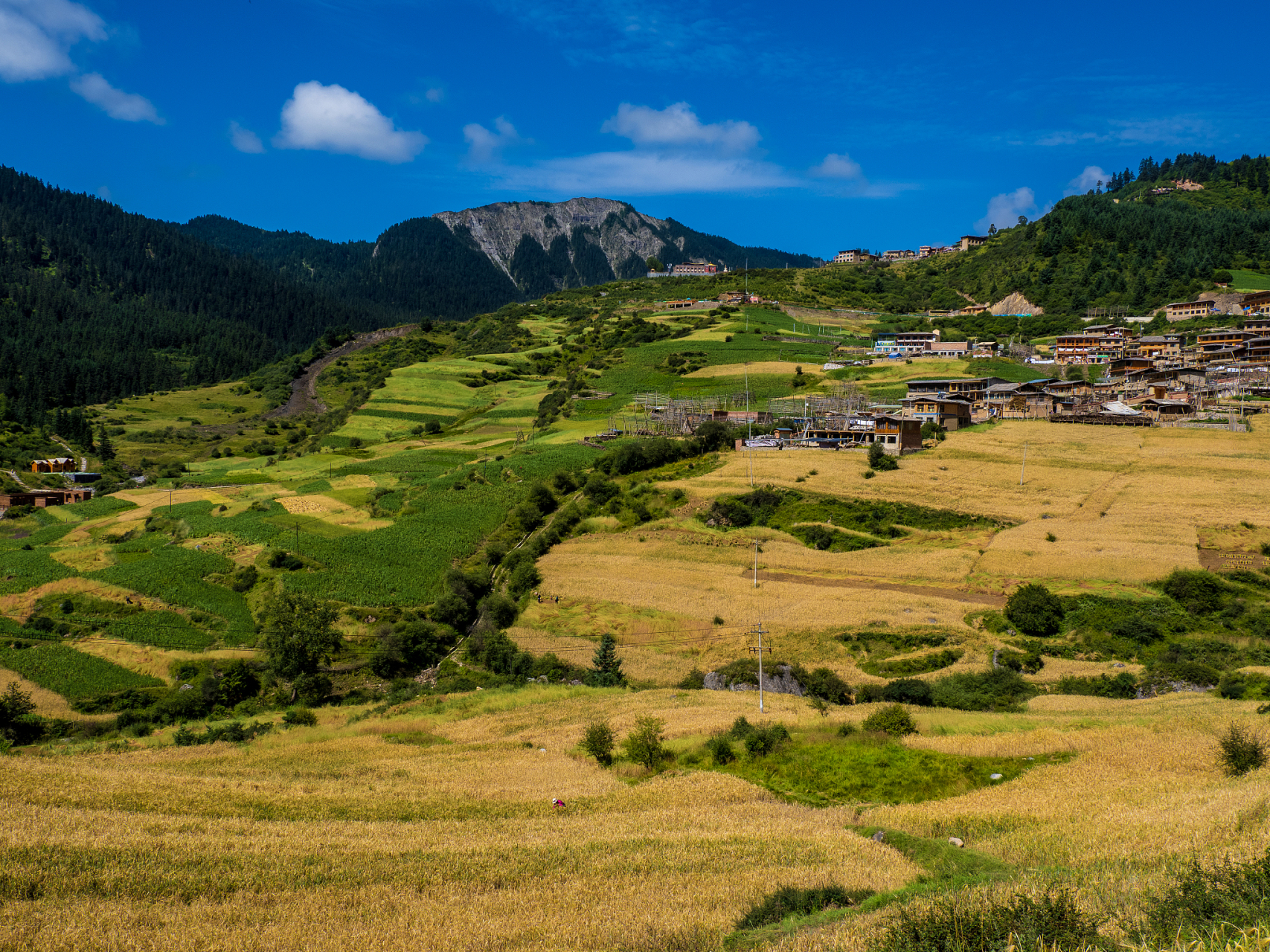 在中国西南的四川省,有一片神秘而美丽的土地——大凉山