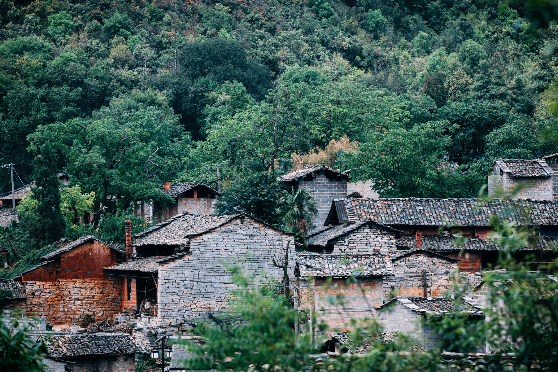 白雾村位于云南省曲靖市会泽县娜姑镇,是一个有着深厚历史文化底蕴的