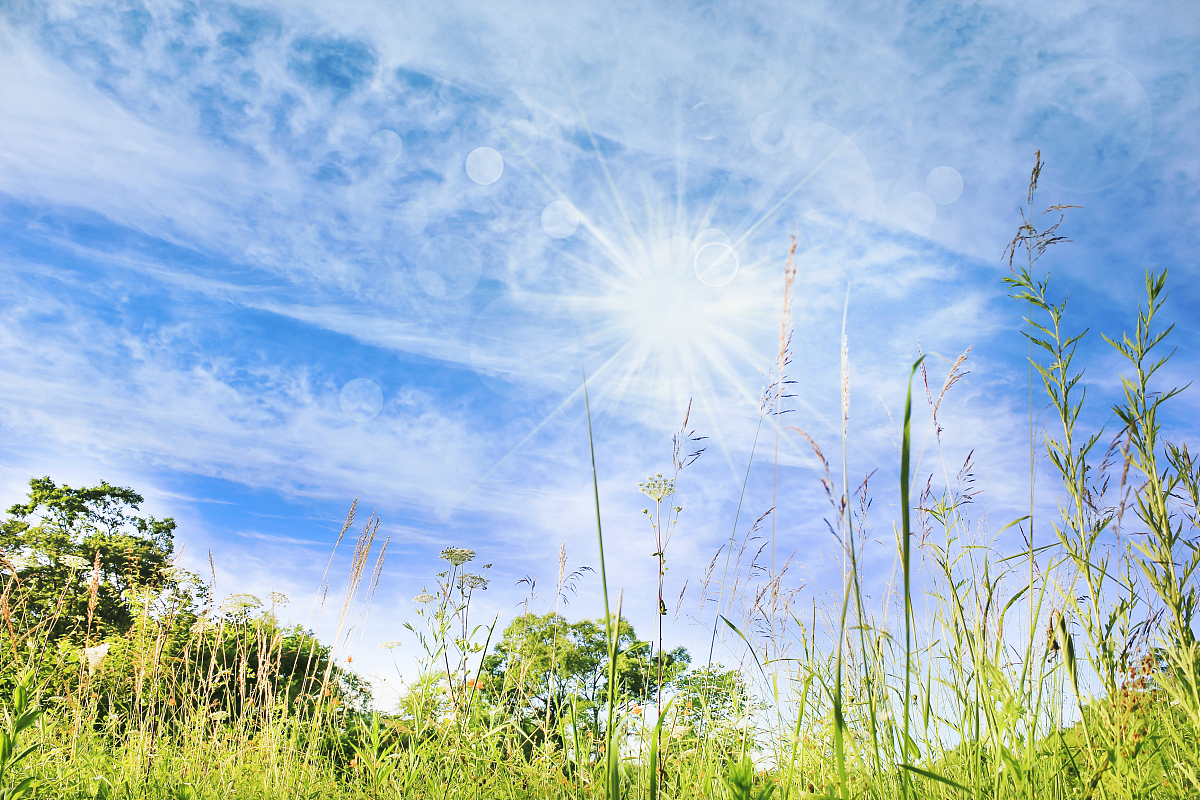雨过天晴,空气清新如洗,心情也随之舒畅起来