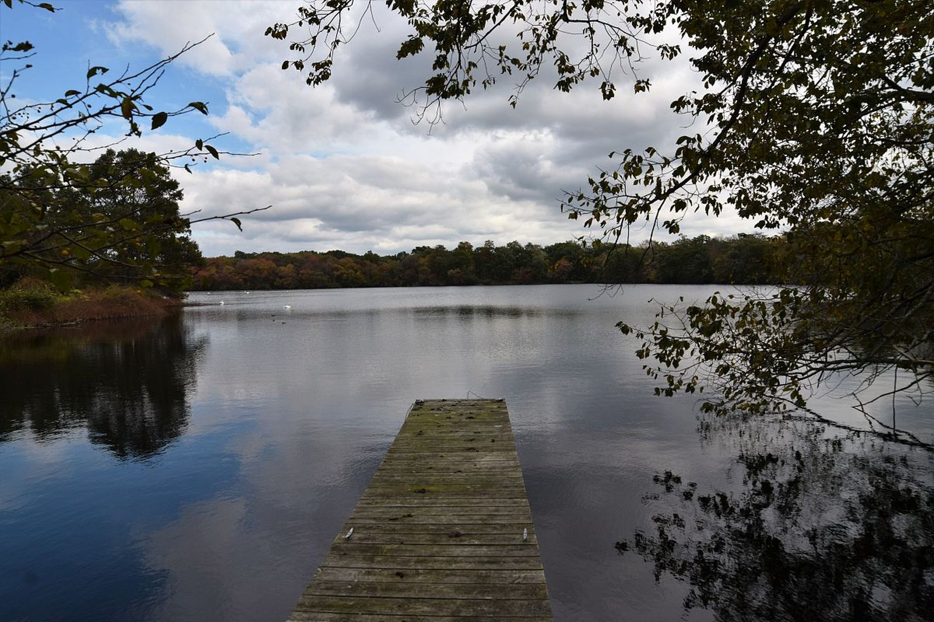 瓦尔登湖 - 梭罗  #自然与文明的交融#   瓦尔登湖是一处幽静的名胜