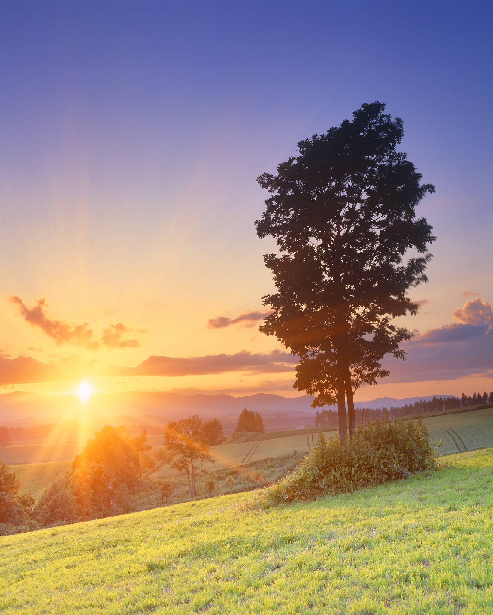 优秀的生活状态不是仰望别人,而是把自己变成一道风景