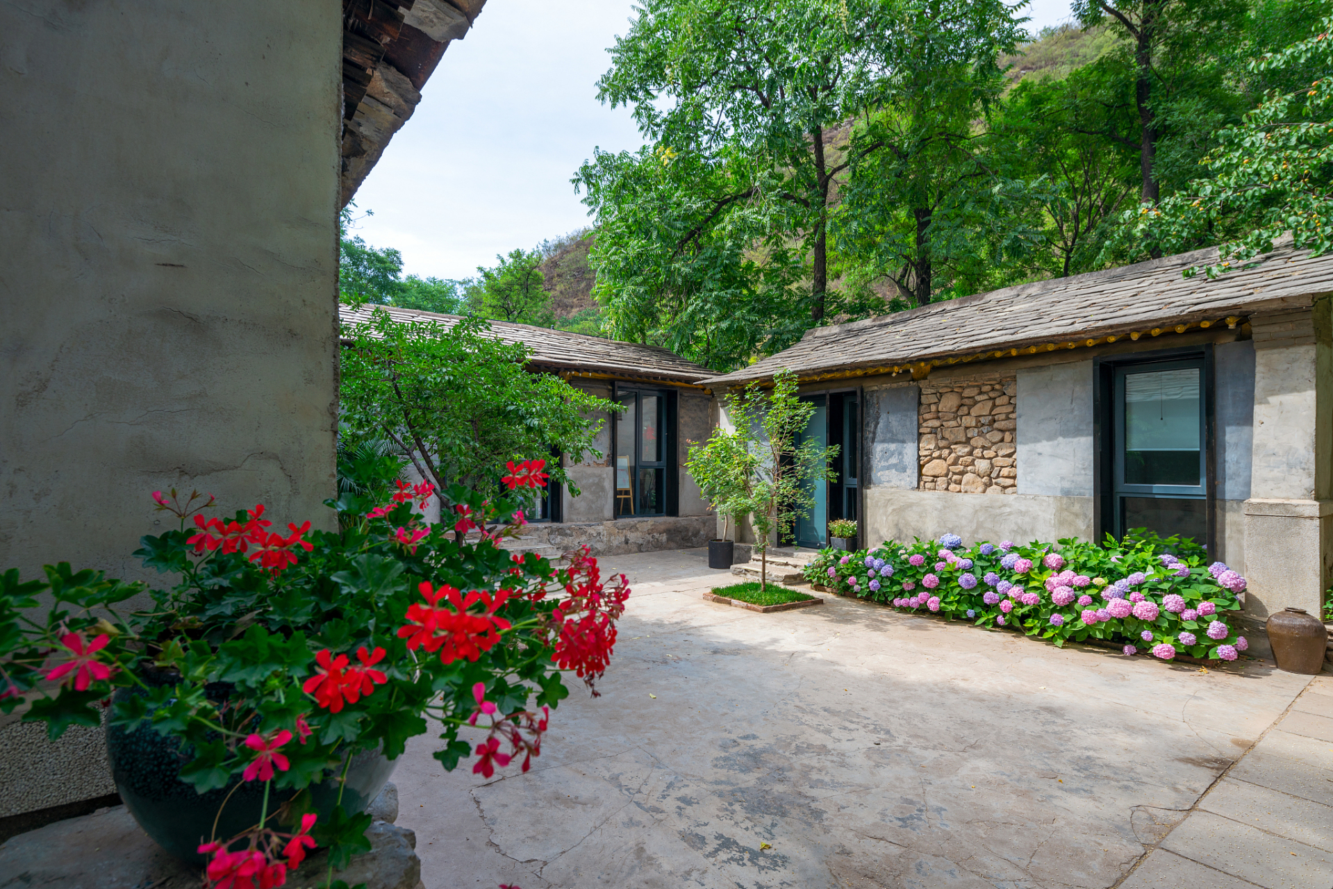 故乡小院  小院古朴且悠然 深情款款诉悲欢 秋栽金菊冬种梅 笑对风刀