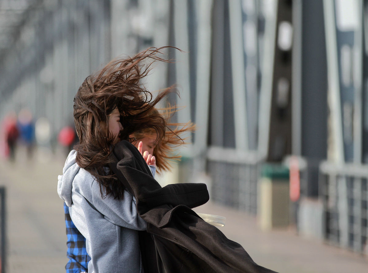 在繁忙的街头,总是能看到匆匆忙忙的人们,他们像是追逐着时间的身影