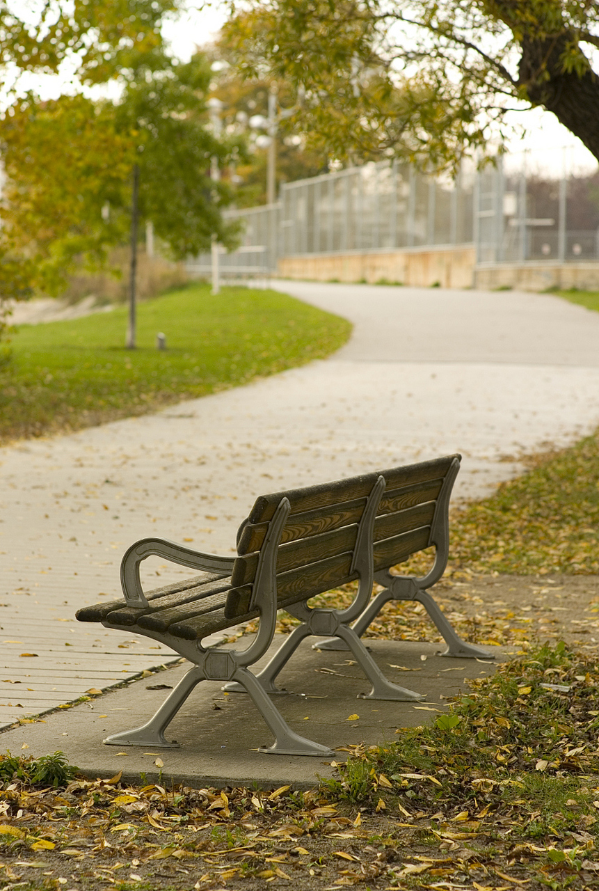 今日阳光明媚,我坐在公园的长椅上,看着孩子们嬉戏,老人们悠闲地聊天.