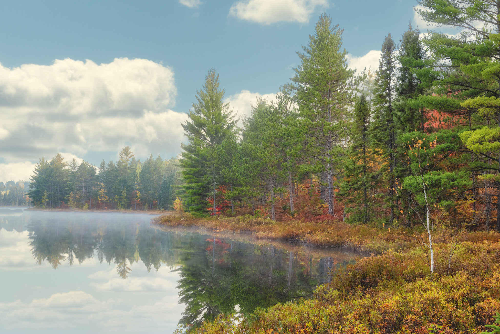 美丽风景 美丽风景动心音, 两相痴醉生共鸣.