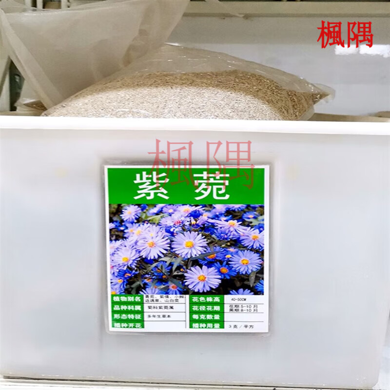 紫菀种子选购秘籍大揭秘,掌握这些要点,让你的庭院从此花香四溢,美不