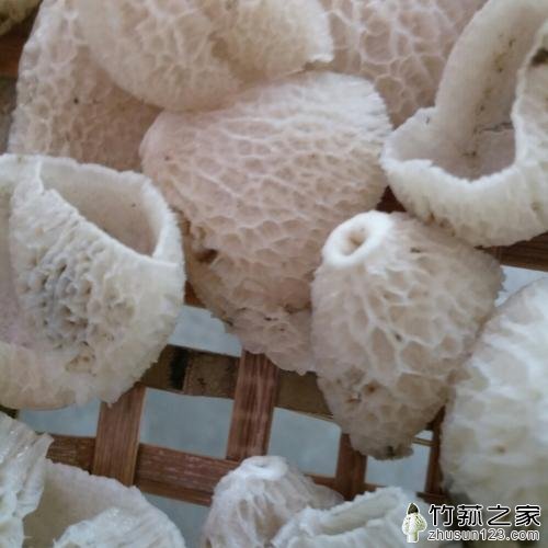 干竹荪哪里不能吃图解,告诉你竹荪的菌裙,菌盖可以吃吗