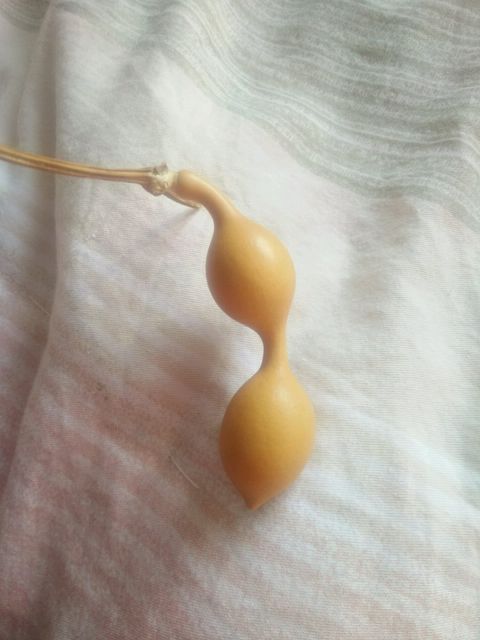 文玩葫芦 - 热门商品专区