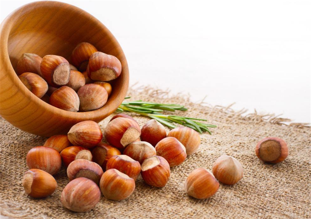 榛子- 热门商品专区