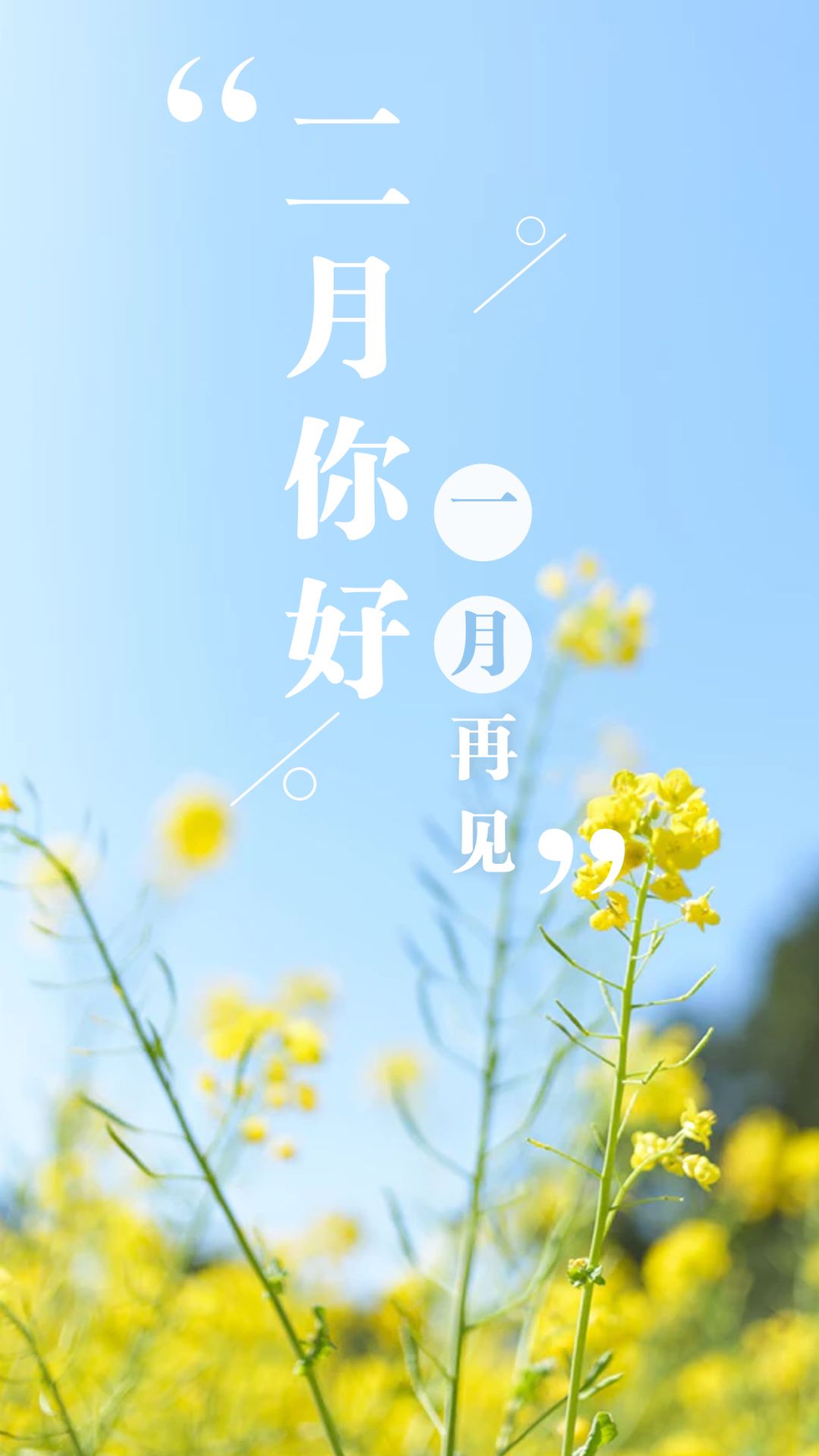 二月,你好!新年,你好!