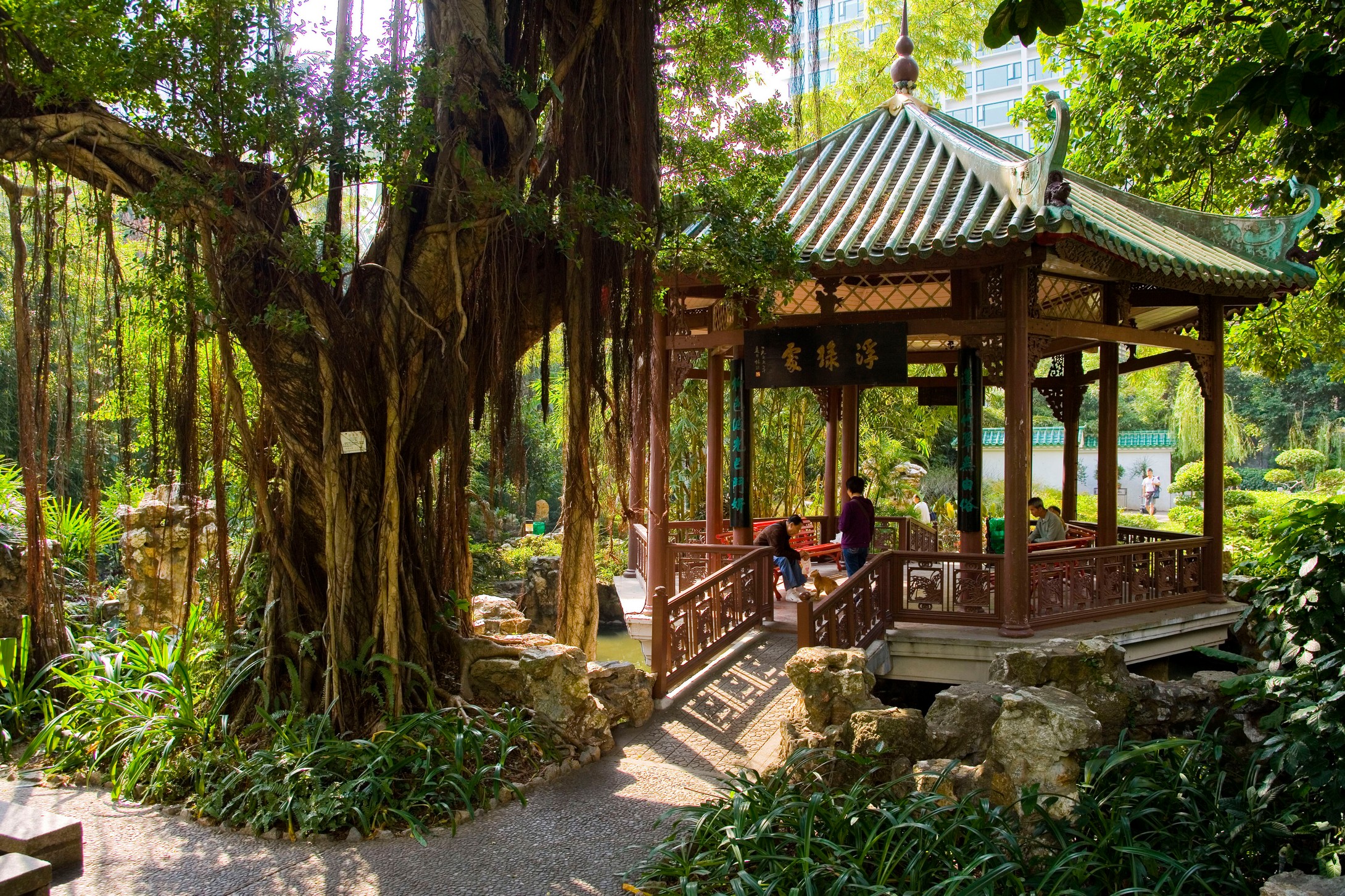 卢廉若公园位于澳门半岛的中部,东望洋山的北麓,罗利老马路与荷兰园马