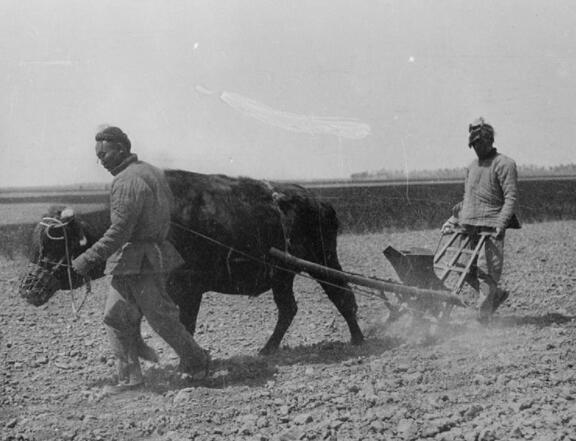 民国初期老照片,图3的农民推着独轮车,图5的农民正在耕种