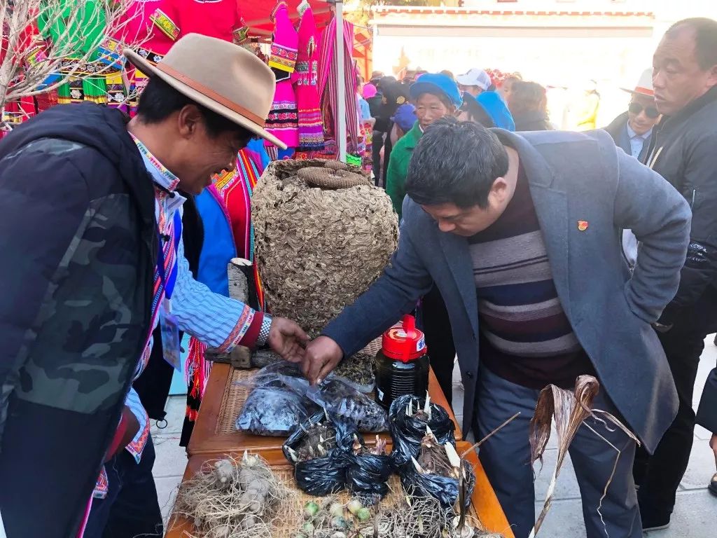 新年新面貌!德钦县拖顶乡美丽乡村民族文化节开幕!