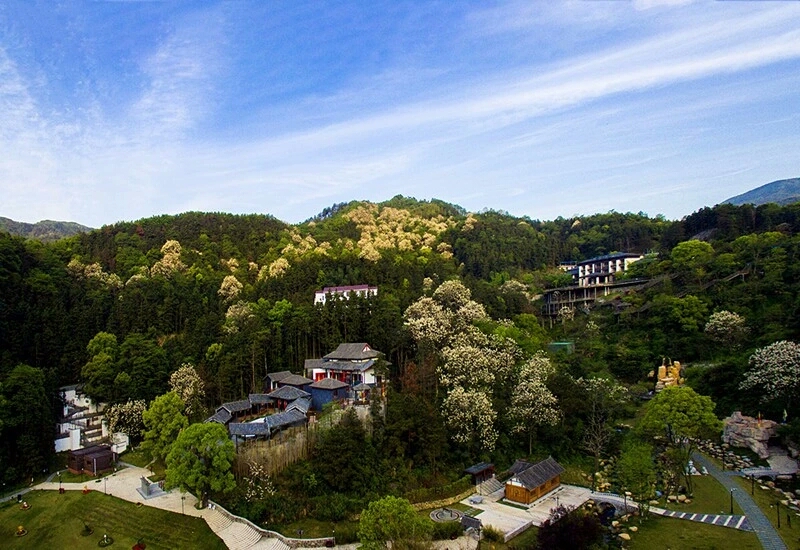 大美湾里梅岭好美