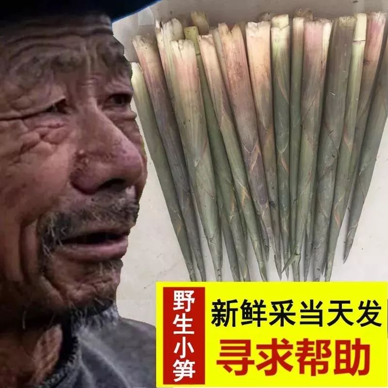 惊呆 大爷你咋回事?你咋卖啥啥滞销呢?