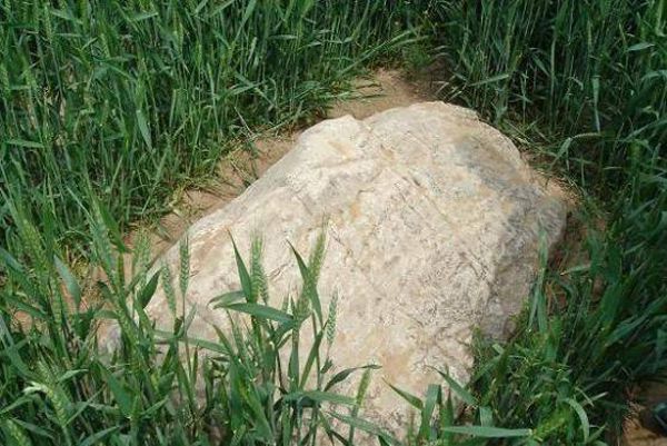 它是中国最矮山,位于山东境内,一步登顶绝不夸张