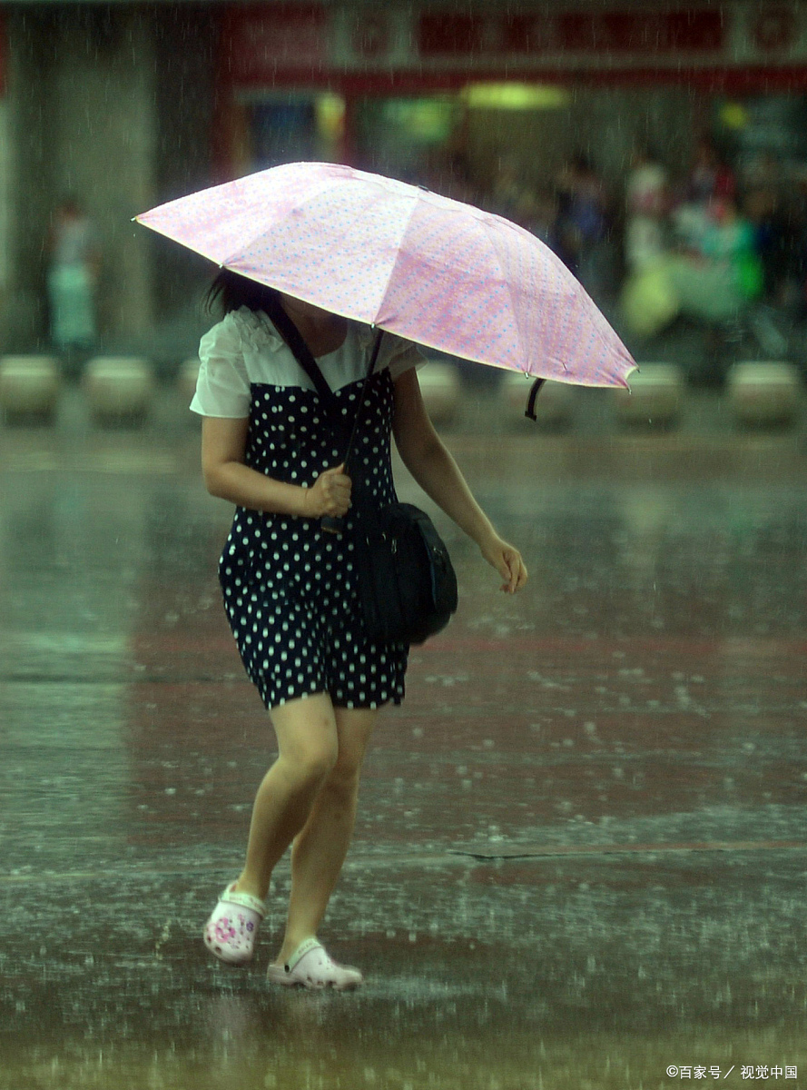 下雨花伞图片图片